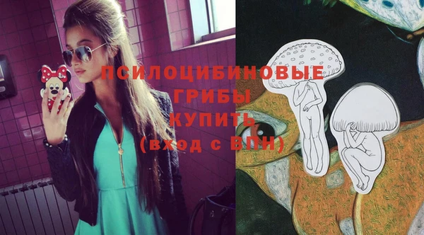 прущая мука Аркадак