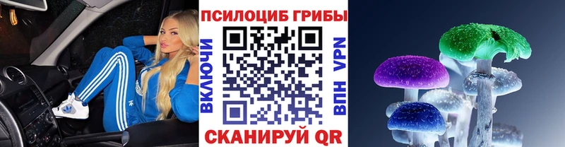 Купить закладки  Кузнецк  Псилоцибиновые грибы ЛСД 
