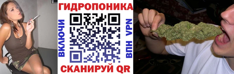 Купить где  Кузнецк  Канабис конопля 